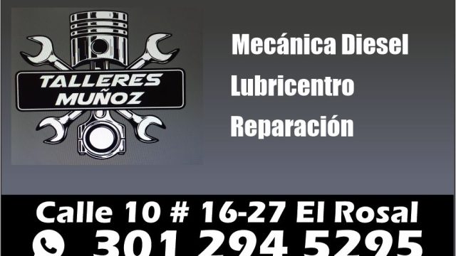 talleres muñoz