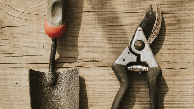 Gardening scissors and trowel on a wooden background flatlay